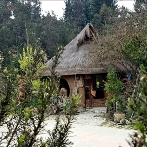 Гостиница Cabañas Rukas Licantén  Ликантен